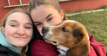 marion pet sitter à LORIENT 56100_8