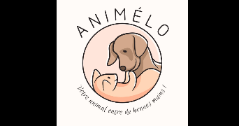animélo pet sitter à ST YVI 29140_0