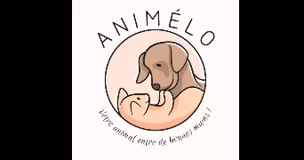 animélo pet sitter à ST YVI 29140