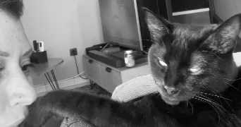 prescillia pet sitter à LA VERPILLIERE 38290