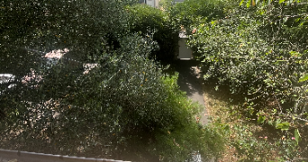 dyala pet sitter à CLAMART 92140_6