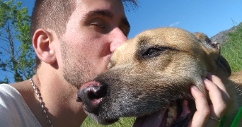 lucas pet sitter à BEGLES 33130_4