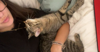 maï lê pet sitter à CARBONNE 31390_3