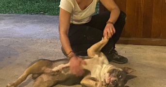 marie pet sitter à ANNECY 74960_1