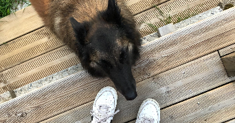 elise pet sitter à LE MANS 72000_3