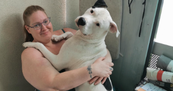 cindy pet sitter à ISSOIRE 63500_1