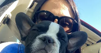 tiffany pet sitter à GRANGES LES BEAUMONT 26600