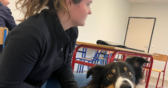 elisabeth pet sitter à ST OUEN MARCHEFROY 28260_1