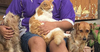 amelie pet sitter à CALAIS 62100_4