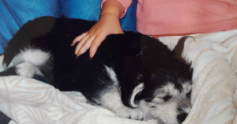 claire pet sitter à LAUTERBOURG 67630_5