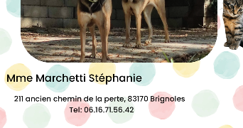 Stéphanie  pet sitter à Brignoles 83170