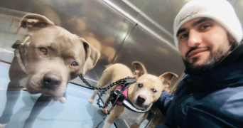 aldo pet sitter à ST PIERRE DES CORPS 37700_1