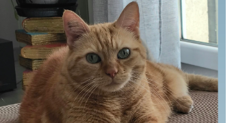 pascale pet sitter à VILLEURBANNE 69100_9