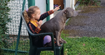 gwenaëlle pet sitter à CASTELSARRASIN 82100_4