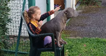 gwenaëlle pet sitter à CASTELSARRASIN 82100