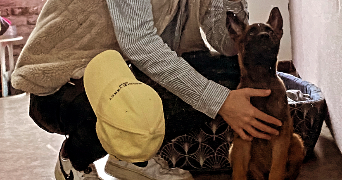 leo pet sitter à FETERNES 74500_1