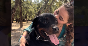 emma pet sitter à ST GENIS DES FONTAINES 66740_1