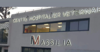 elodie pet sitter à MARSEILLE 08 13008_2