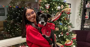 nhât lê pet sitter à VILLEURBANNE 69100