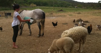 mélissa pet sitter à CANDILLARGUES 34130_5