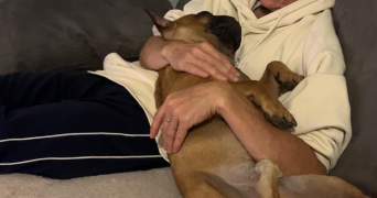 hallidays pet sitter à BELLEVILLE SUR LOIRE 18240_4