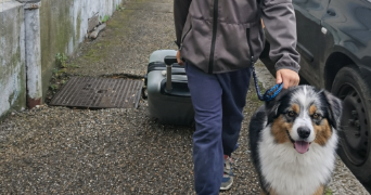 florence pet sitter à CALUIRE ET CUIRE 69300_9