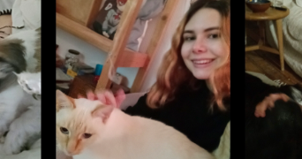 paula pet sitter à STRASBOURG 67000_2