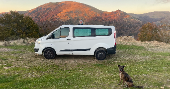 mailen pet sitter à BIARRITZ 64200_2