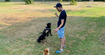 François pet sitter à BORDEAUX 33000_0