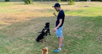 François pet sitter à BORDEAUX 33000