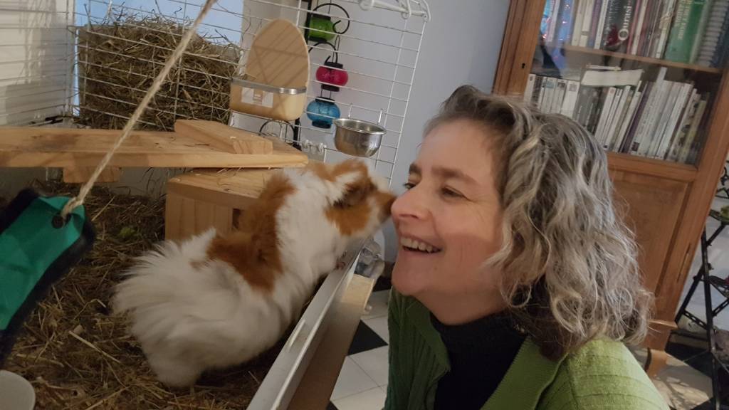 celine pet sitter à Marolles-en-Hurepoix 91630_9