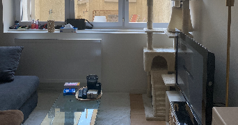 lennie pet sitter à ANGERS 49000_3