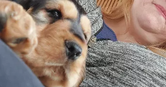 lydie pet sitter à MARQUETTE LEZ LILLE 59520
