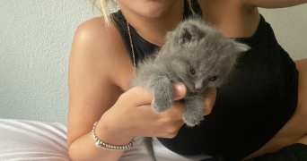 marine pet sitter à LYON 03 69003_3