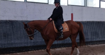 susie pet sitter à AIX LES BAINS 73100_7