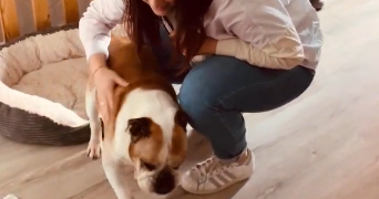 margot pet sitter à TALENCE 33400_2