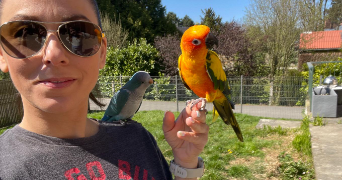virginie pet sitter à ENNETIERES EN WEPPES 59320_2