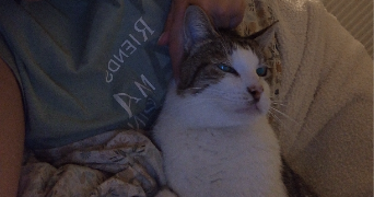 aurelie pet sitter à Cagnes-sur-Mer 06800_13