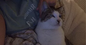 aurelie pet sitter à Cagnes-sur-Mer 06800