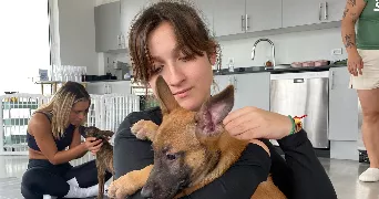 elise pet sitter à PARIS 07 75007