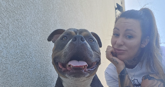 fannie pet sitter à MERIGNAC 33700_0