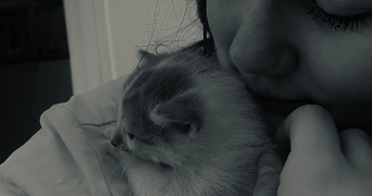 calista pet sitter à CAMBRAI 59400_0