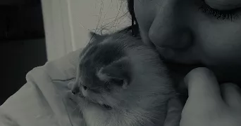 calista pet sitter à CAMBRAI 59400