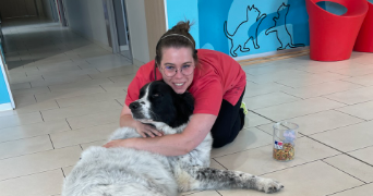 claudie pet sitter à ROZ LANDRIEUX 35120_9