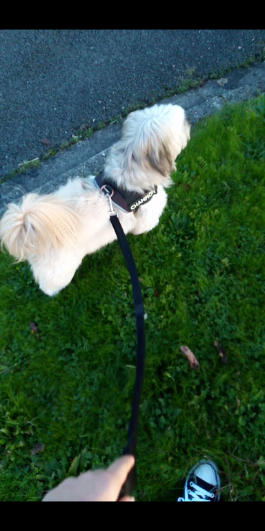 emma  pet sitter à Bordeaux 33440_2