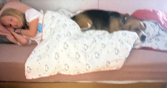 charles pet sitter à BOULOGNE BILLANCOURT 92100_2