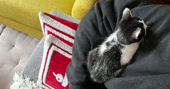 salomé pet sitter à LYON 07 69007_1