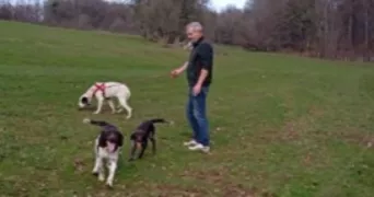 frédéric dog sitter à VESOUL 70000