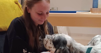 marie pet sitter à TOURNEFEUILLE 31170_1
