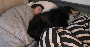 héloïse pet sitter à VIENNE 38200_6